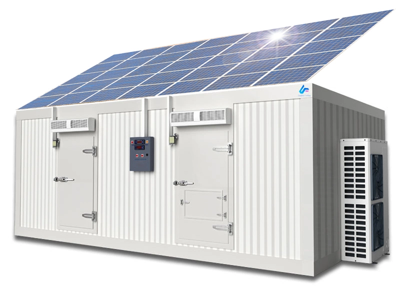 Solar Panel Powder Built-in Battery Deep Cold Freezer Room Storage