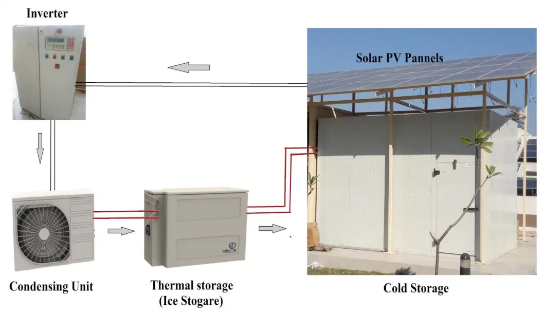 Solar Panel Powder Built-in Battery Deep Cold Freezer Room Storage